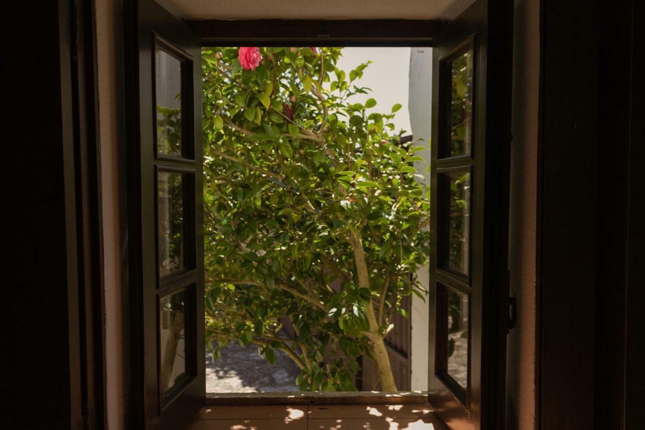 Vila Casa Rustica Serra do Bouro Exteriér fotografie